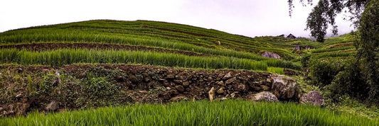 Mekong Express | Ho Chi Minh to Hanoi in 10 Days!