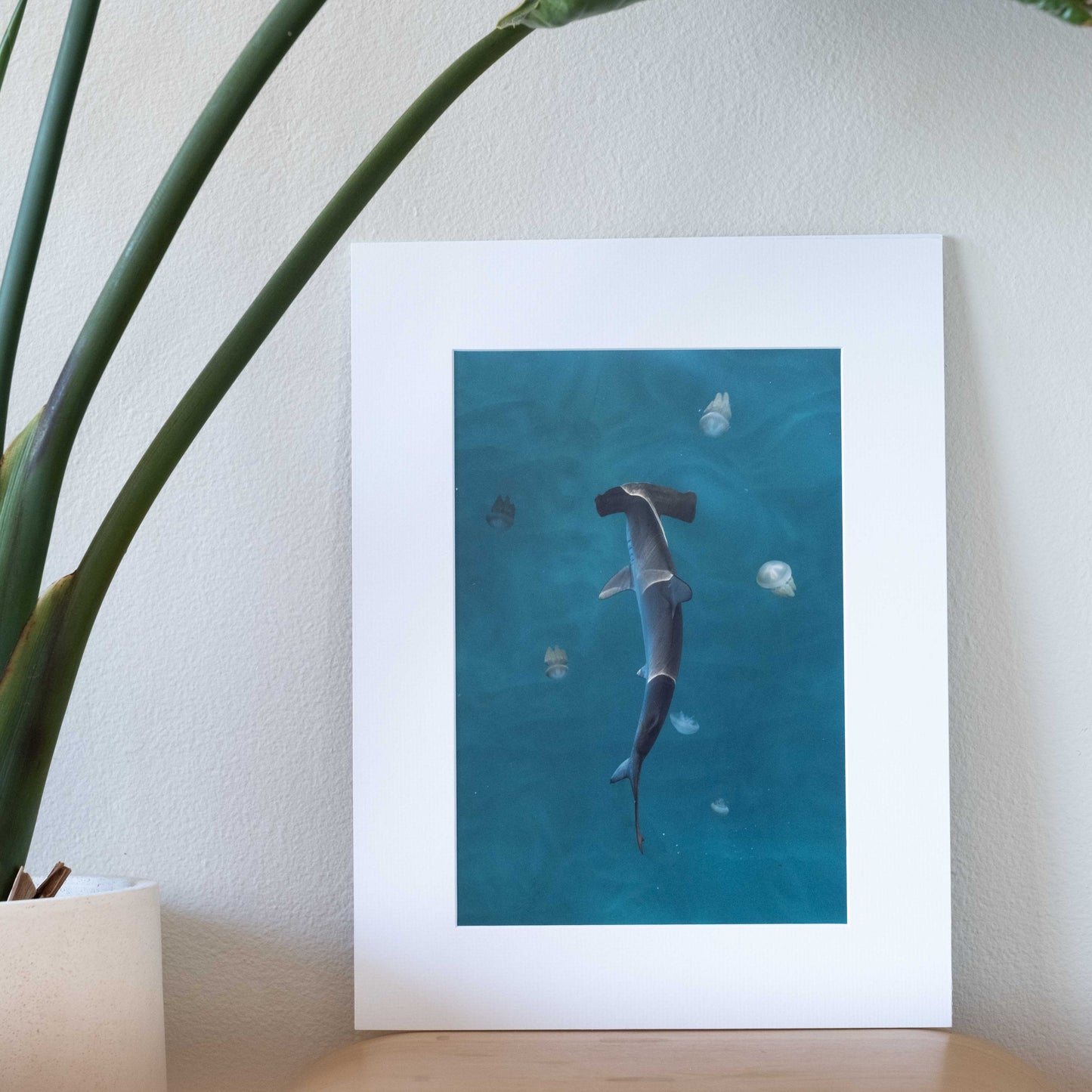 Jelly & Hammer | Gift Print