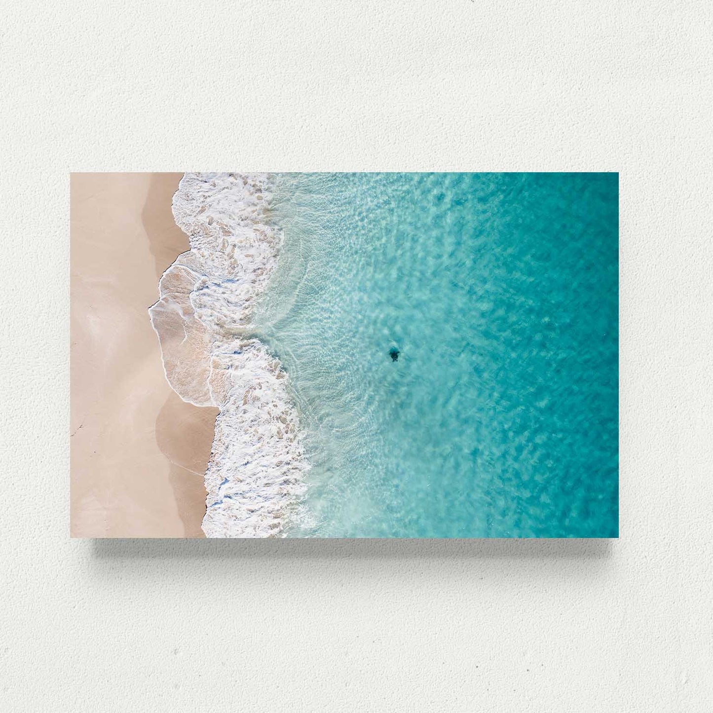 Beached Az