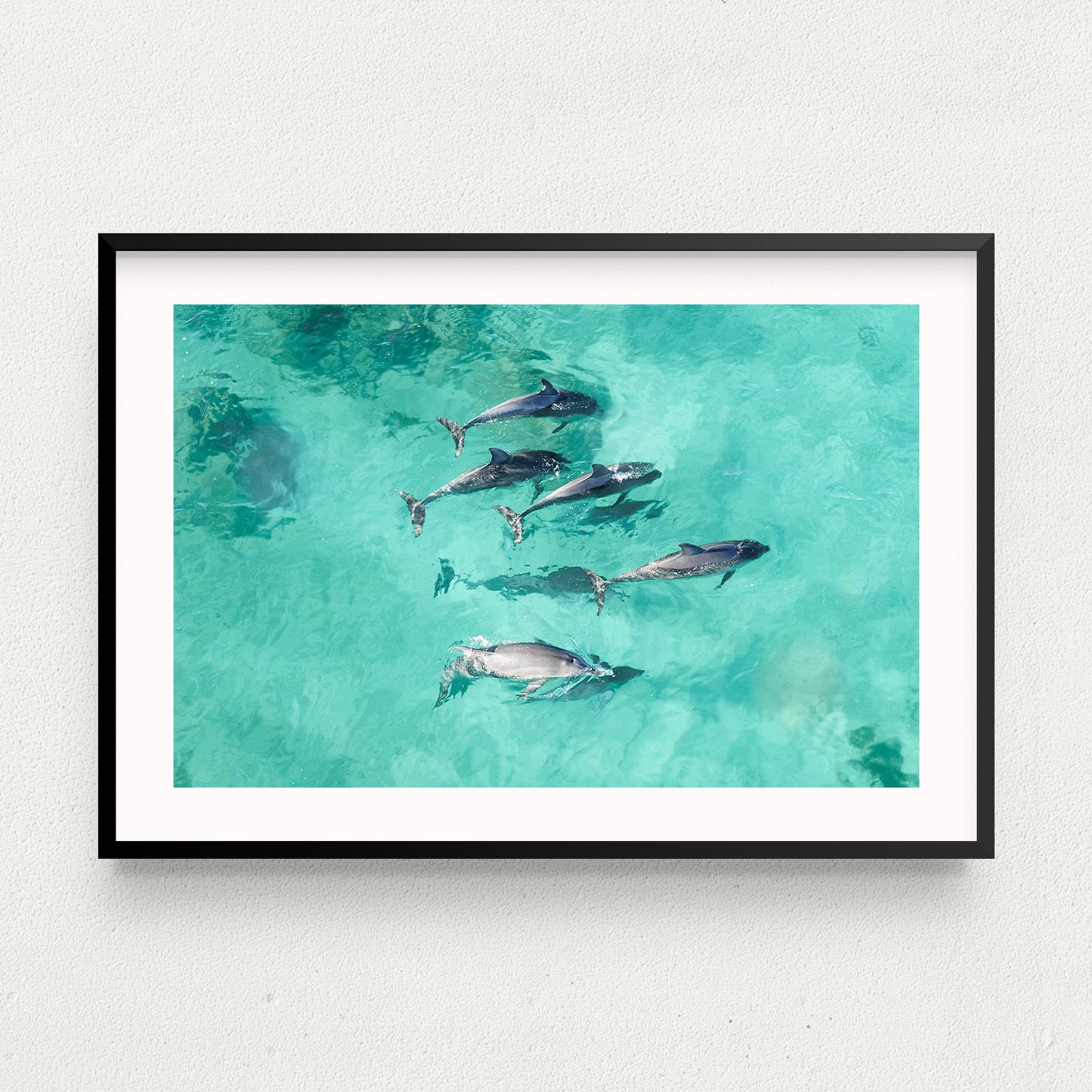 Dolphins of Yallingup