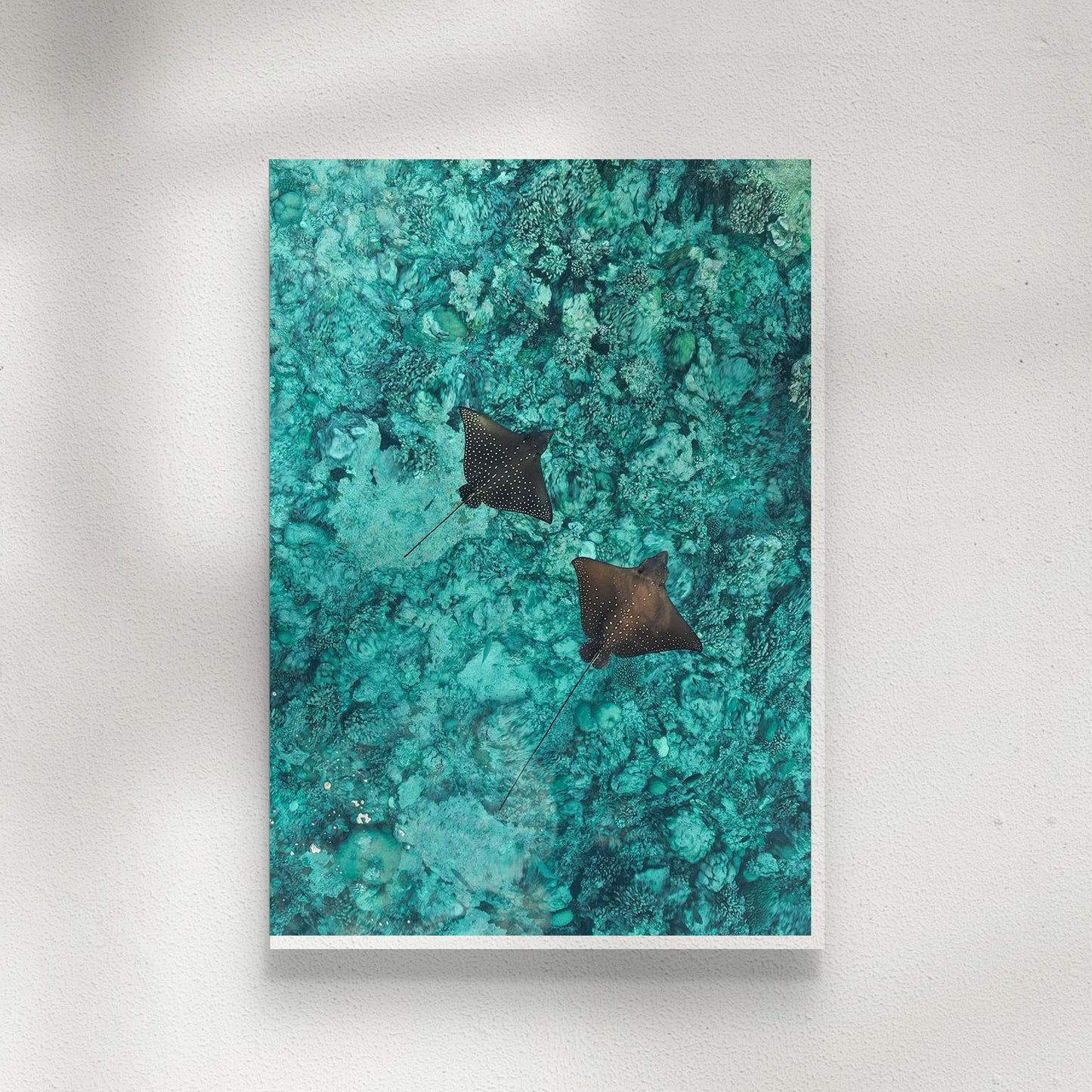 Float On