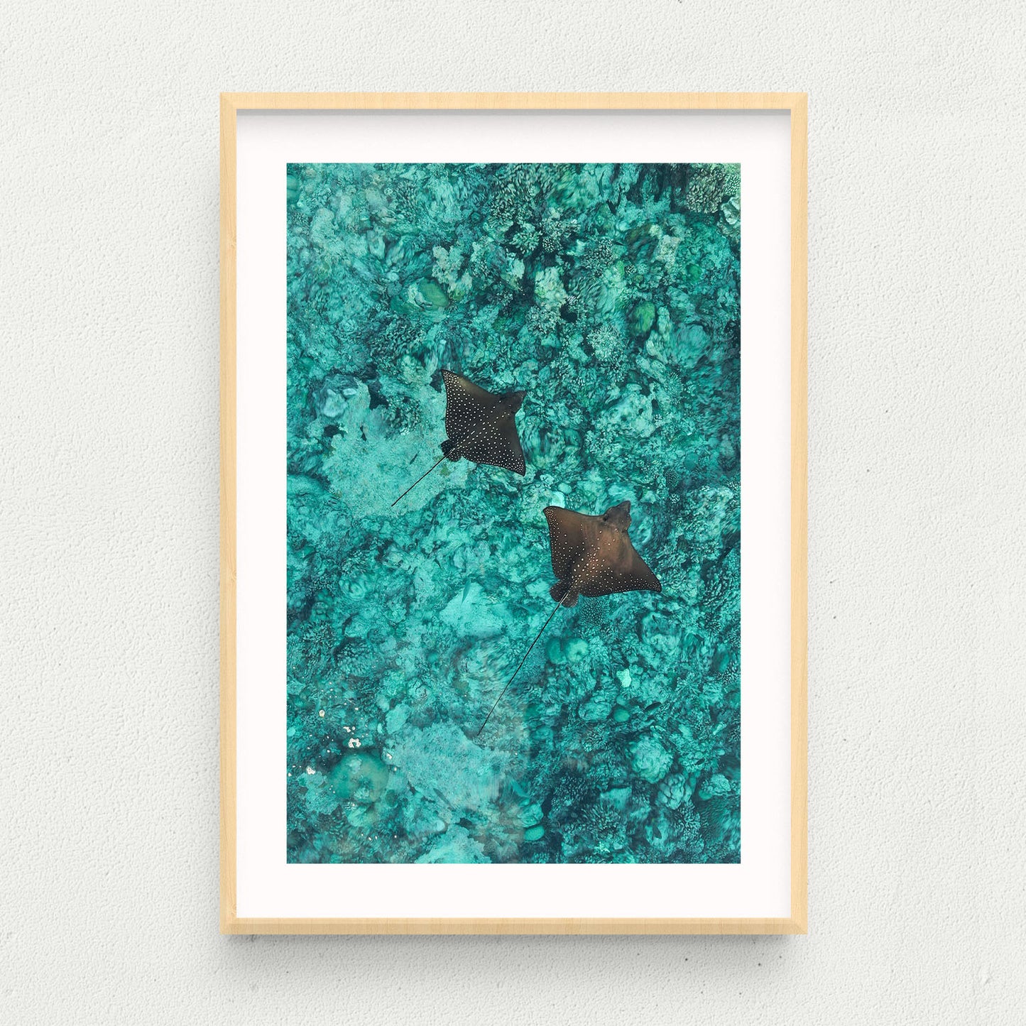 Float On