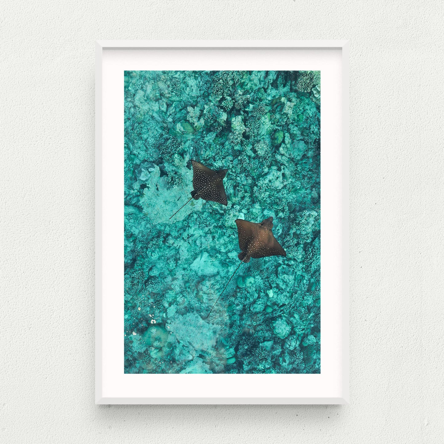 Float On