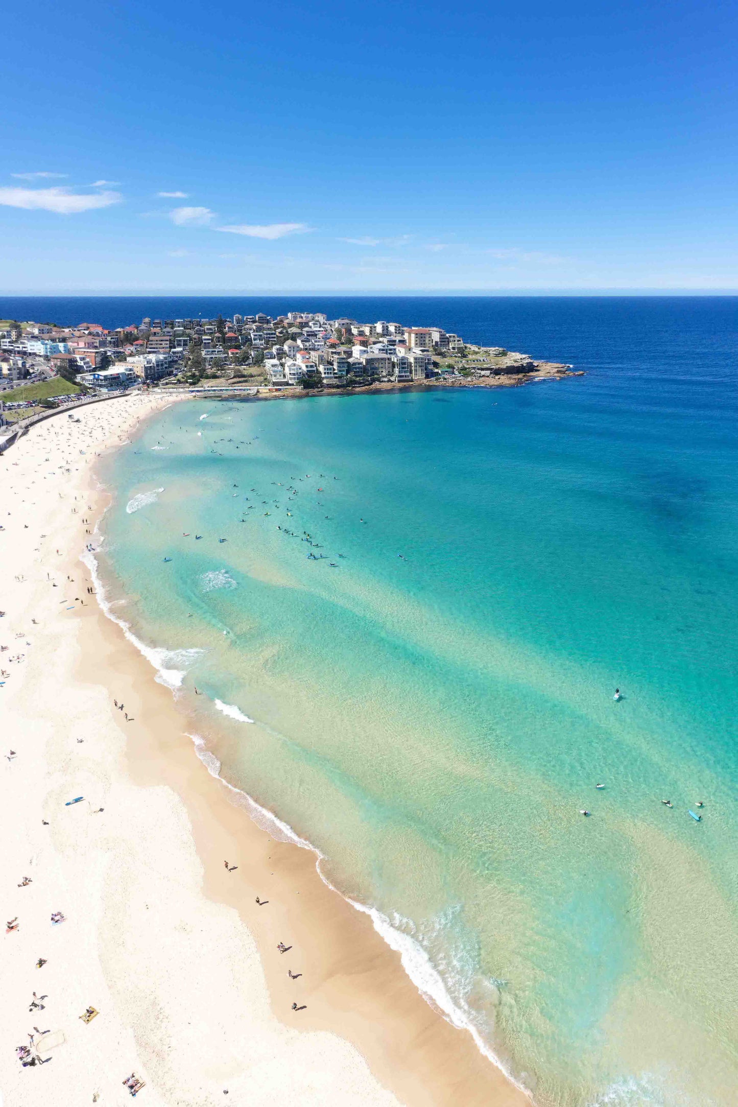 Flat Out Bondi