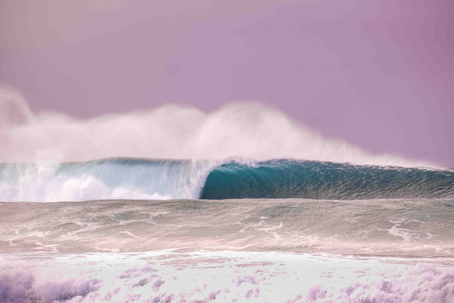 Purple Haze