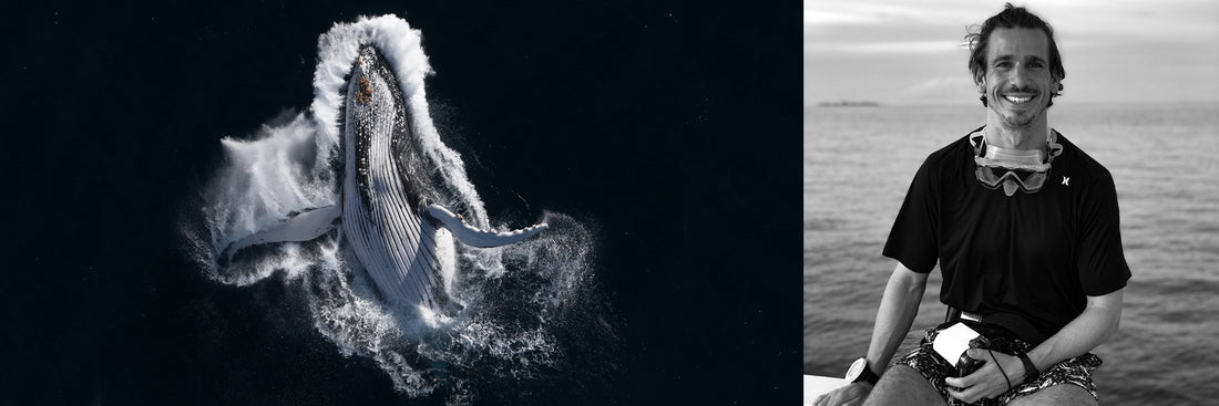 Ocean Photographer of the Year 2023 | Wildlife Finalist