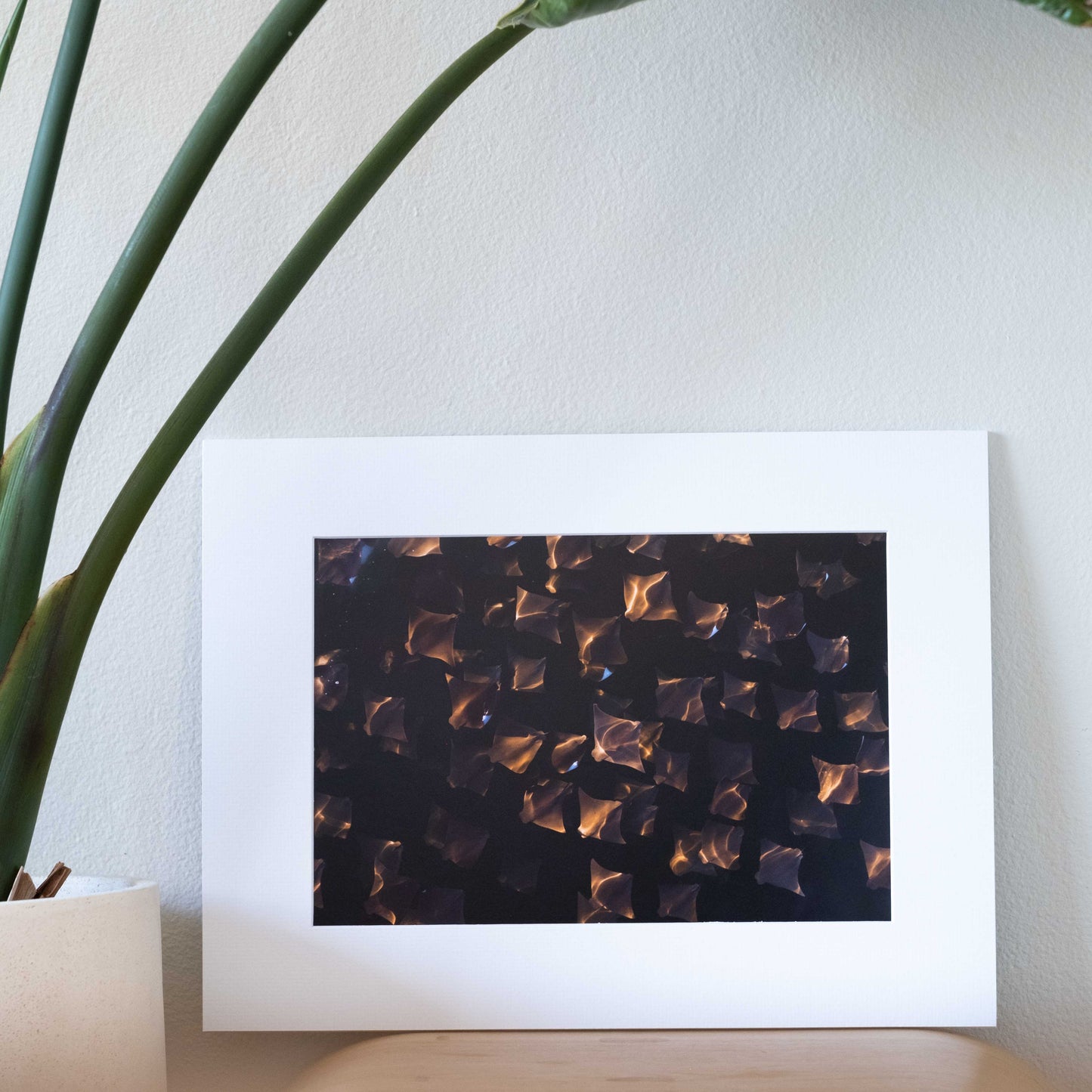 Formation Flying | Gift Print