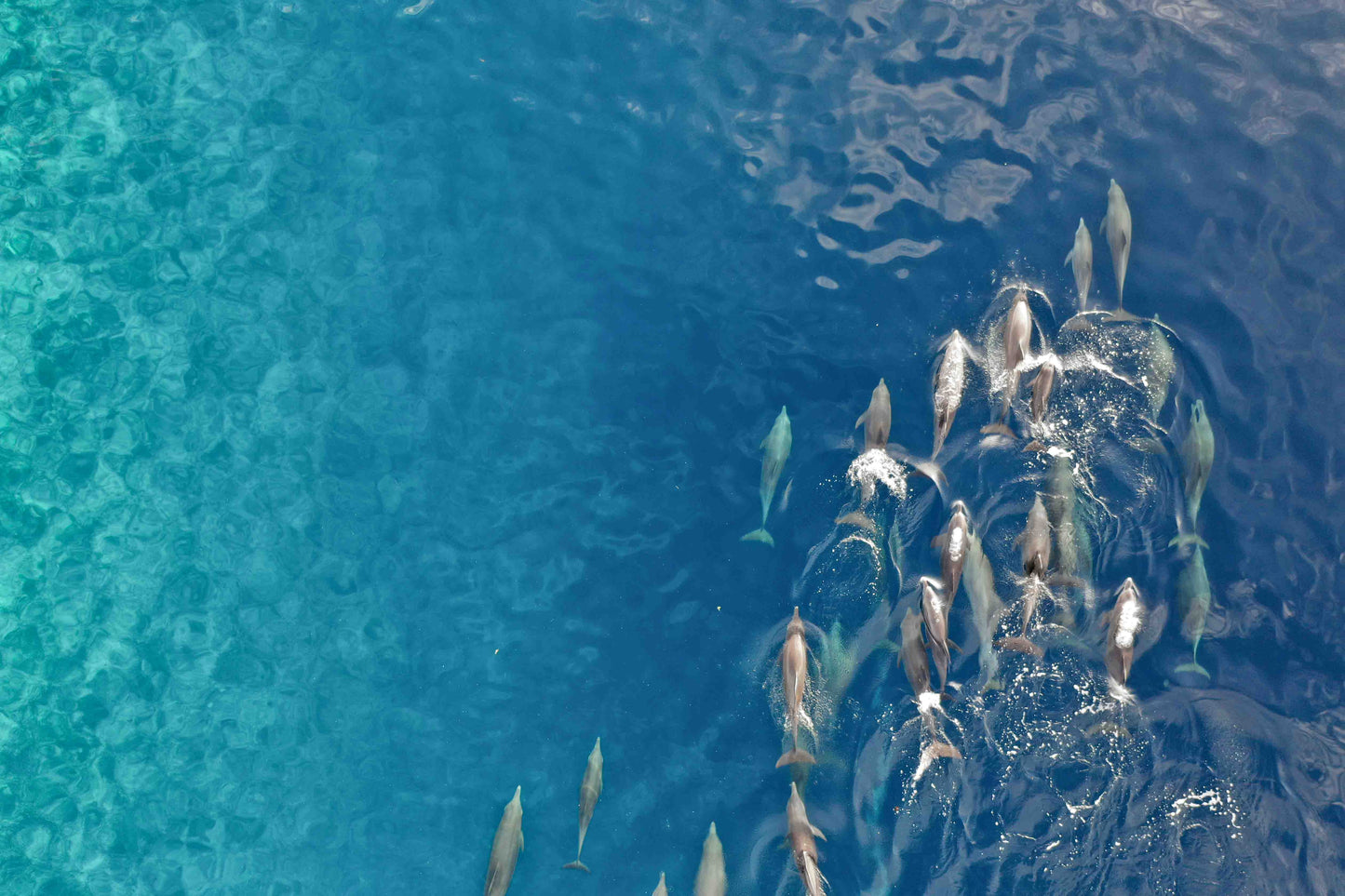 Pod on the Wing