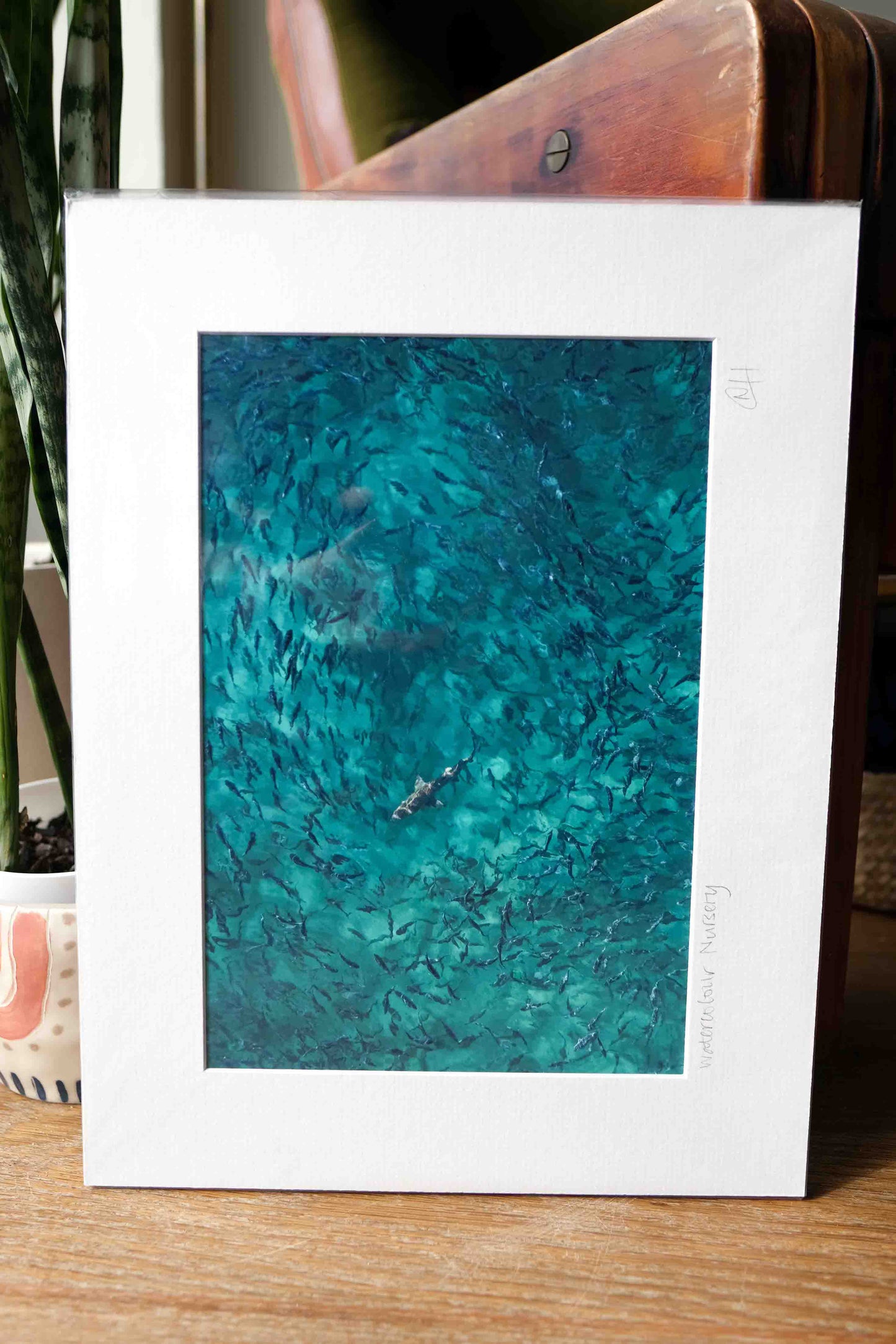 Mounted Gift Prints