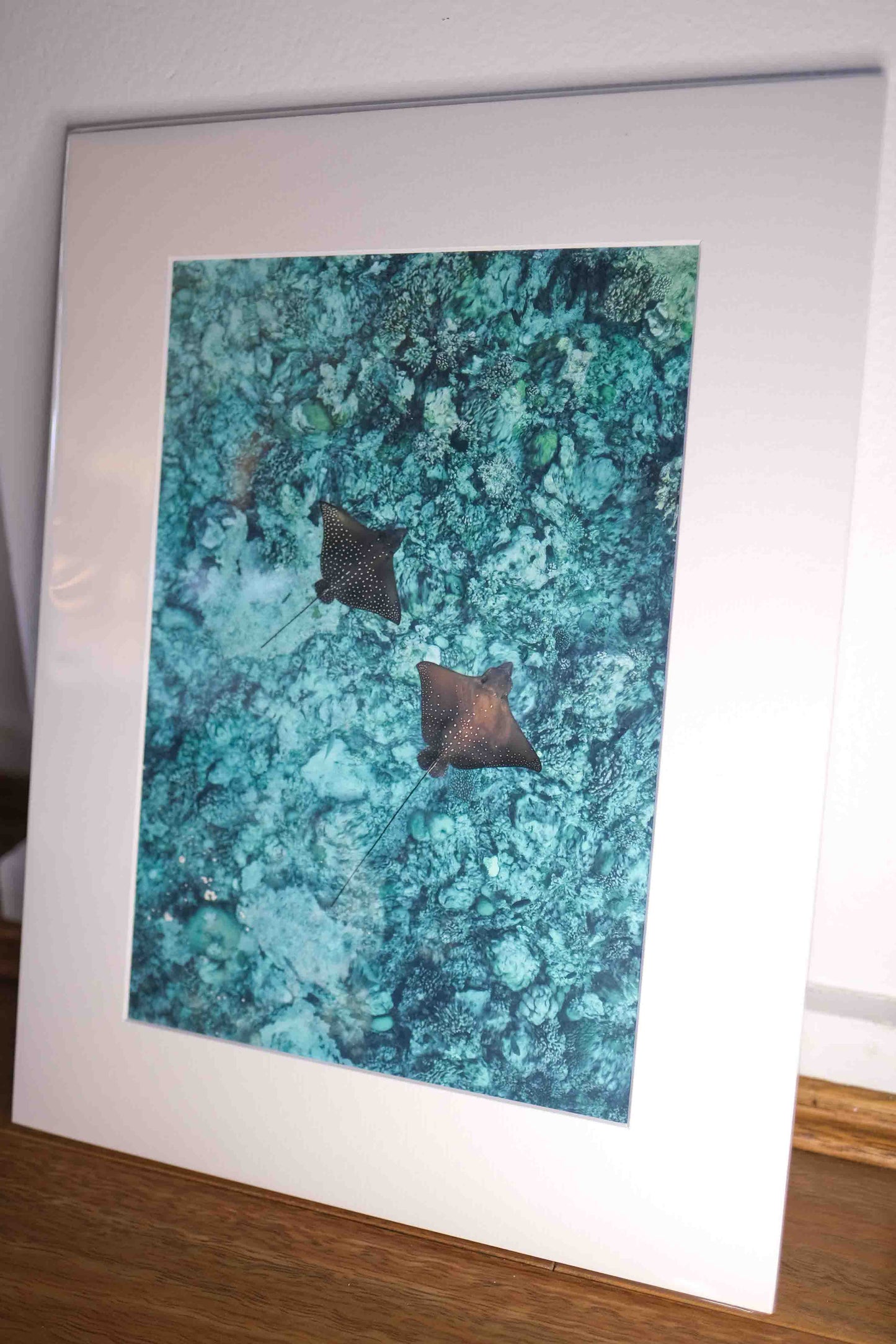 Mounted Gift Prints