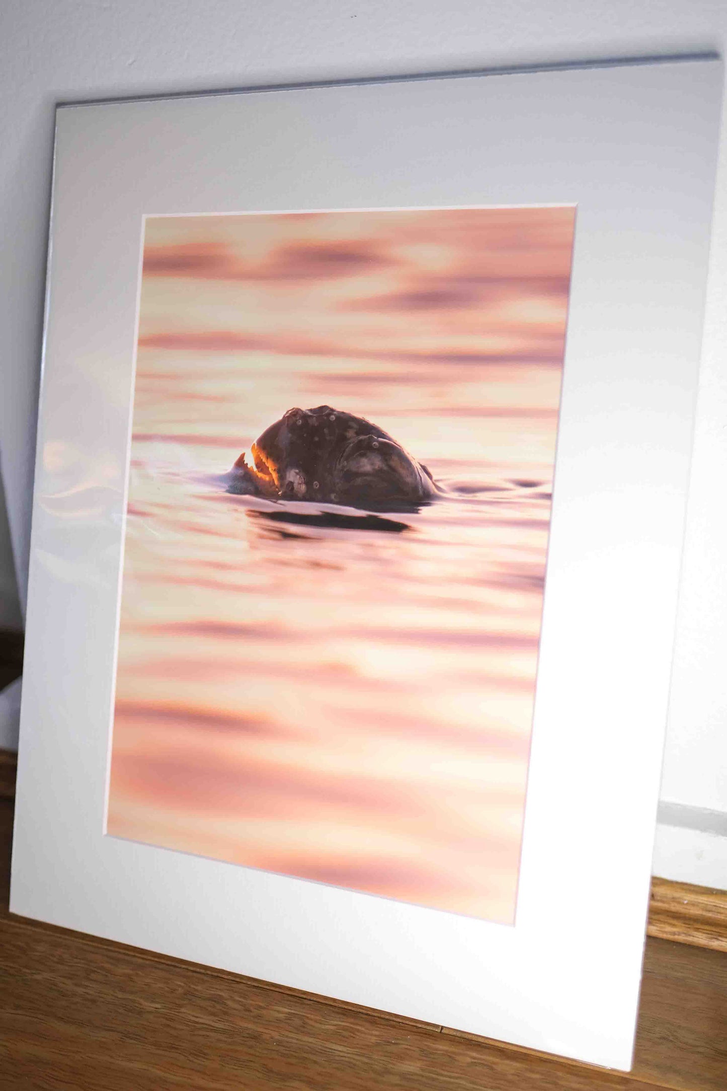 Mounted Gift Prints