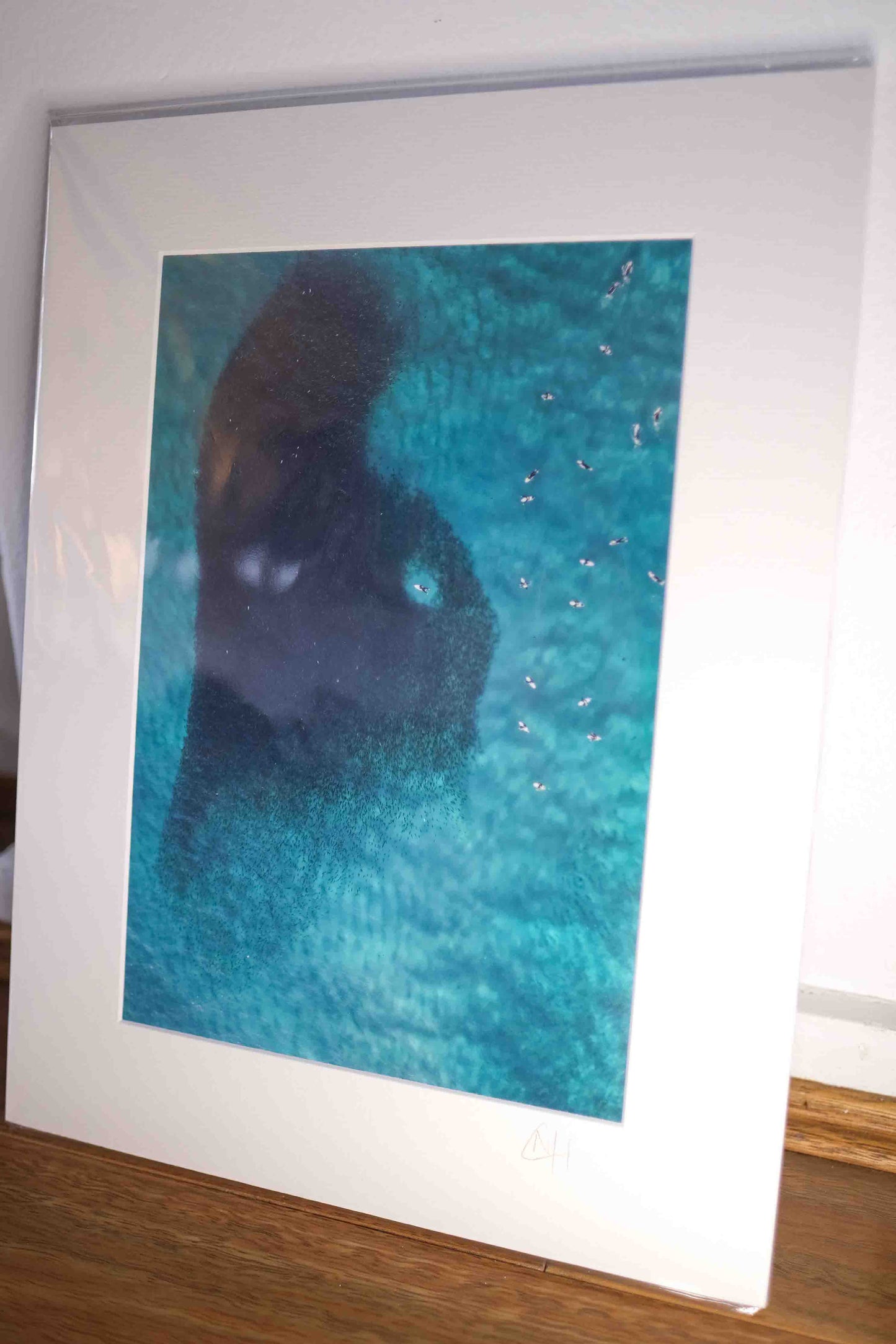 Mounted Gift Prints