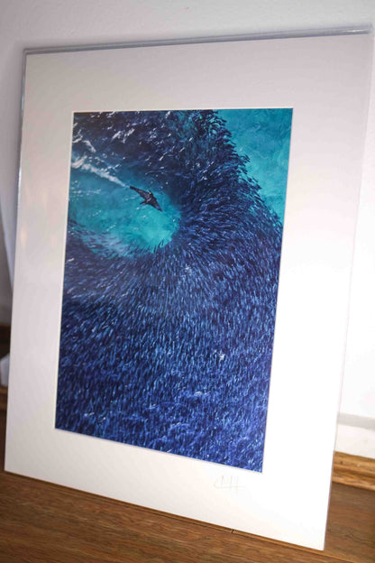 Mounted Gift Prints