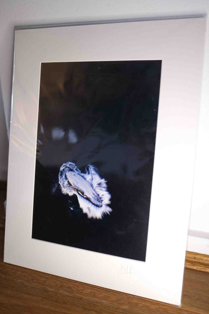 Mounted Gift Prints