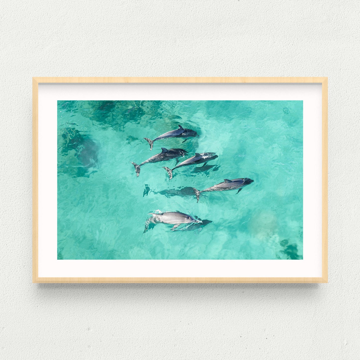 Dolphins of Yallingup