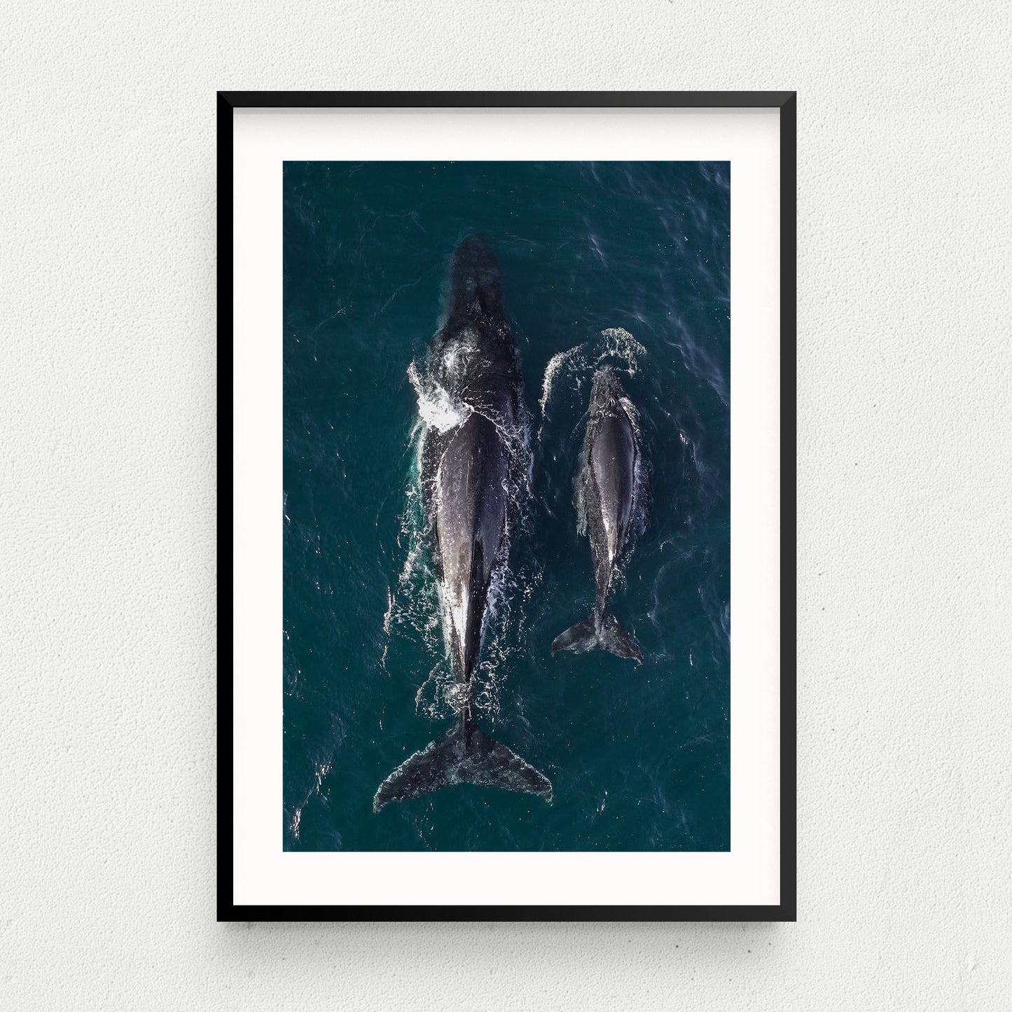 Twin Fin