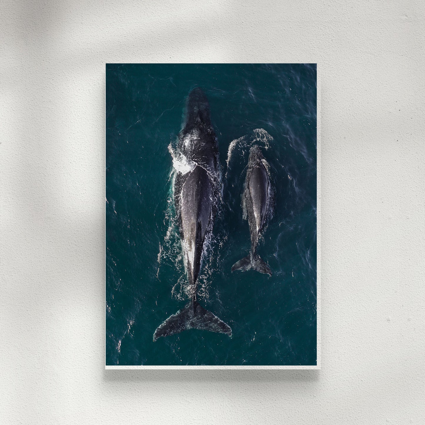 Twin Fin