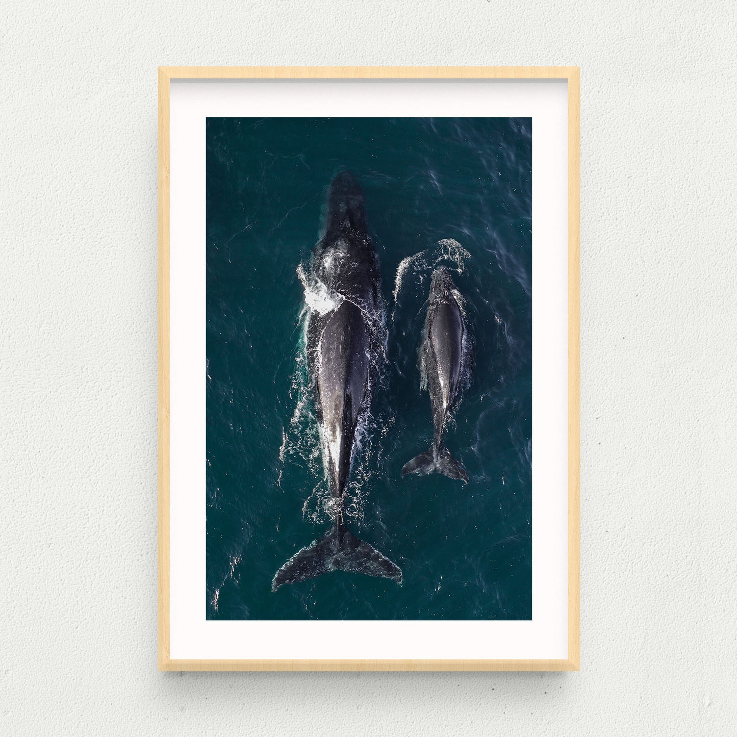 Twin Fin