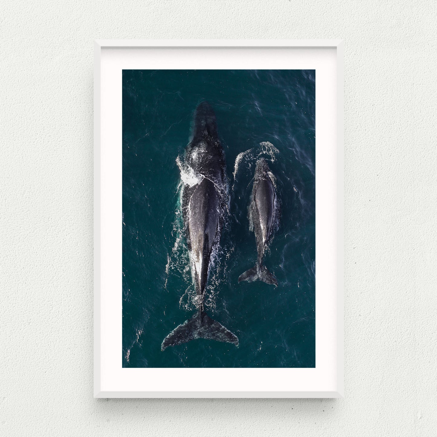Twin Fin
